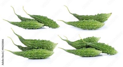 PAVITRAHAR Hybrid bitter gourd (Karela) Seed(29 per packet)