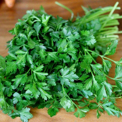 CYBEXIS Parsley Dark Green Seeds2800 Seeds Seed(2800 per packet)
