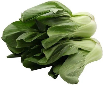 Atlus Pak Choi- salad Vegetable Seed Seed(150 per packet)