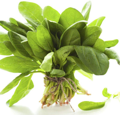 Qualtivate ICRA-2A Palak or Spinach Vegetable Seeds Seed(300 per packet)