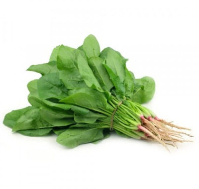 Qualtivate RES-1A Desi Palak Spinach Seeds Seed(300 per packet)