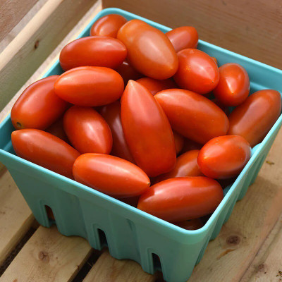VRAKSHA Tomato Marzito Seed(500 per packet)