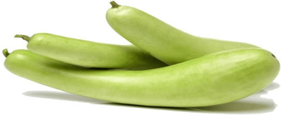 UGRA Long Bottle Gourd Seeds Seed(120 per packet)