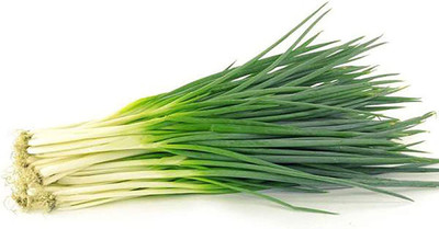 CYBEXIS Organic Green Onion Seeds2000 Seeds Seed(2000 per packet)