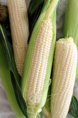 Aywal Sweet Corn (Makka) (मक्का के बीज) Seed(650 per packet)