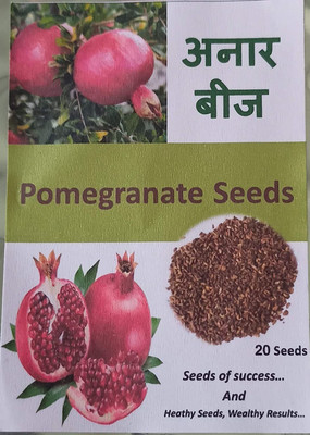 CYBEXIS LX-98 - Pomegranate | Anar - (270 Seeds) Seed(270 per packet)