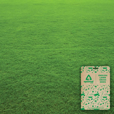 BDSresolve korean lawn grass seeds/Lawn Grass Seeds 4500 Seed(4500 per packet)