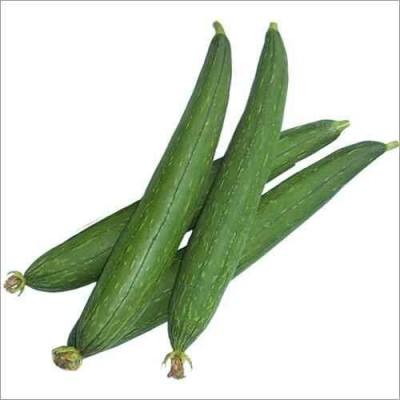 ActrovaX High Yield Rare Sponge Gourd Vegetable [20gm Seeds] Seed(20 g)