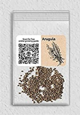 WILLVINE Non-GMO HybridArugula-200 Seeds Seed(200 per packet)
