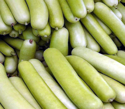 BuyQ Premium Bottle Gourd | louki | lao | Seed(15 per packet)