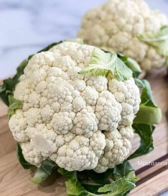 Greenfall Fulgobi 40 Seeds Seed(40 per packet)