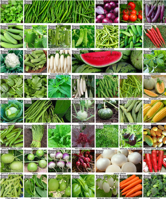 Agrey combo of 50 variety vegetable seeds with instruction manual. Seed(50 per packet)