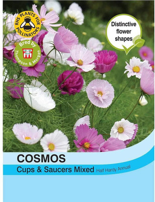CYBEXIS Flower - Cosmos Seashells Mixed Seed(1 g)
