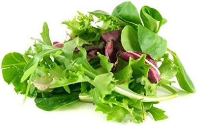 CYBEXIS LX-64 - Mixed Greens Lettuce (Mesclun Mix) - (150 Seeds) Seed(150 per packet)