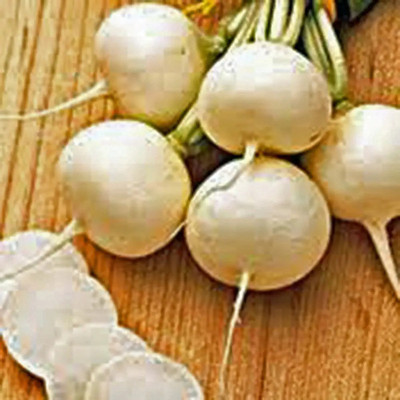 MKR Enterprises Radish Seed(200 per packet)