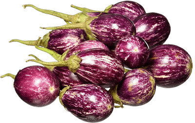 CYBEXIS LX-64 - Hybrid Brinjal - (150 Seeds) Seed(150 per packet)