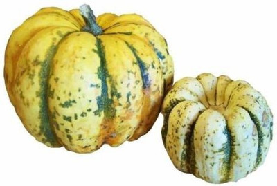 Farmonix SWEET SQUASH SPRING VEGETABLE TASTY SEEDS PUMPKIN TASTY Seed(2000 per packet)