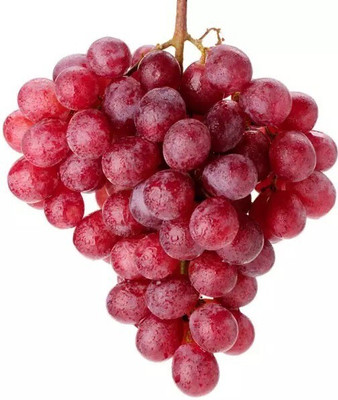 Quentova Red Globe, Flame Grapes-HQL-4C Seed(100 per packet)