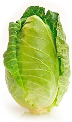 WILLVINE PAU -I CHARLESTON WAKEFIELD CABBAGE Cone [2.5g] Seed(750 per packet)