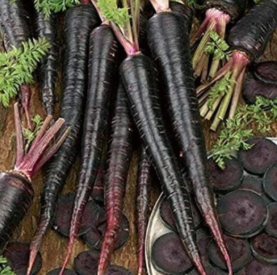 Qualtivate XXX-7A Exotic Black Nebula Carrot Seeds Seed(300 per packet)