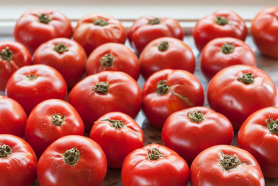 the green dotcom Fresh Tamato Hybrid Eco-friendly Seed(60 per packet)