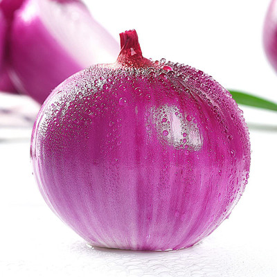 CYBEXIS Fast Germination Red Onion Seeds-500 Seeds Seed(500 per packet)