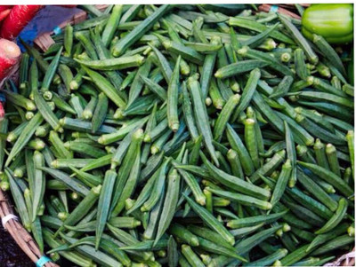 greenfarm NVC- Long Okra Seeds/ Bhindi Seeds, Best Quality, 110 X Seeds, kmb7 Seed(110 per packet)