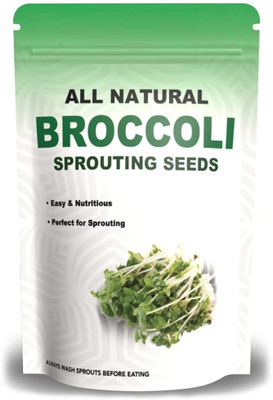WILLVINE XL-660 Greenback Imported Broccoli Seed(200 per packet)