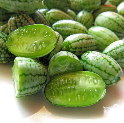 WILLVINE VXI-376 Heat Tolerant Miniature Watermelon Seeds Seed(100 per packet)