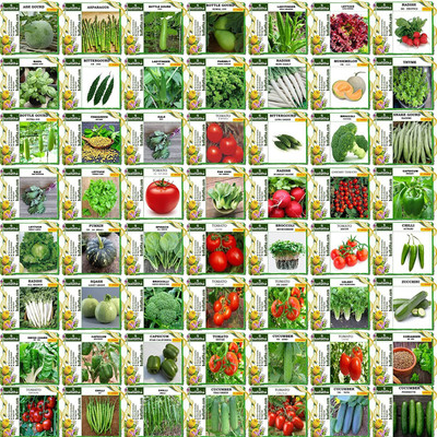 CYBEXIS Vegetable Combo - 50 Varieties 3700+ Seeds Seed(10 g)