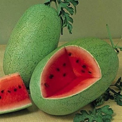 CYBEXIS HUA-82 - Watermelon Charleston Grey Green - (150 Seeds) Seed(150 per packet)