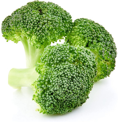 WILLVINE KGF -XII Good Germination Broccoli Hybrid Seeds [2.5g] Seed(750 per packet)