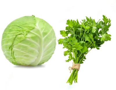 PSAgroinput cabbage coriander Vegetable Seed(100 g)