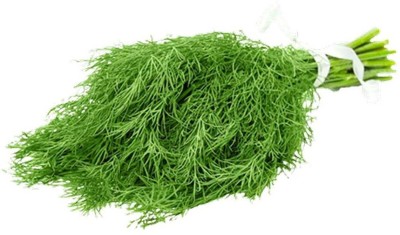 Aywal Vegetable Dill,Soya Saag(सोया साग) seeds For Gardening Winter Seed(450 per packet)