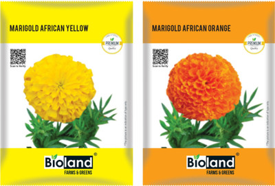 Bioland Yellow and Orange Marigold Seeds Combo Pack Seed(2 per packet)