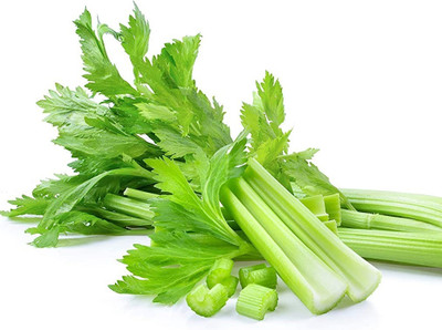 Qualtivate PUAS-195 Celery Seed, Utah Tall Seeds Seed(500 per packet)