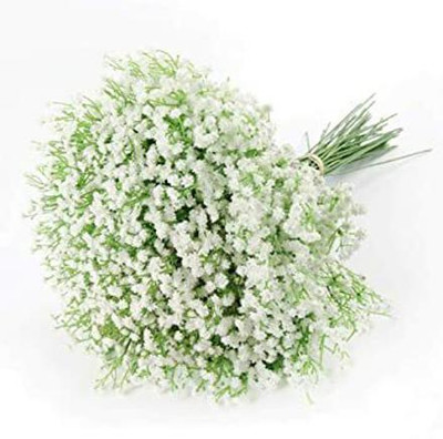 Mozette Gypsophila flower Seed(23 per packet)