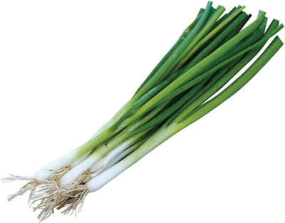 CYBEXIS LX-98 - Evergreen Long White Bunching Onion - (4500 Seeds) Seed(4500 per packet)