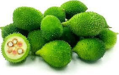 BJUBASPLANT kantola seeds hybrid small pack of 9 Seed(9 per packet)