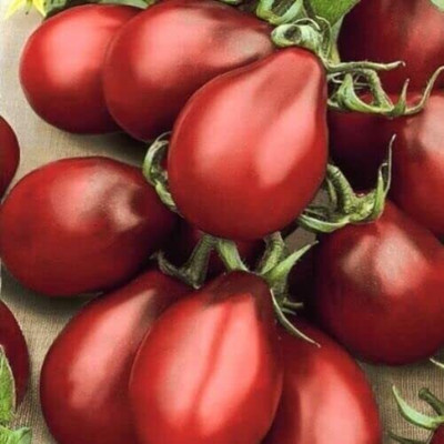 Aywal Black Tomato F1 Hybrid Heirloom Seed(700 per packet)