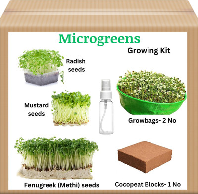 seedbasket Complete Microgreens Growing Kit with 3 types of seeds, 2 Grow bag, 1 Coco block Seed(1 per packet)