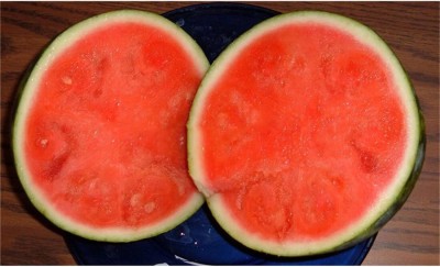 KNESSiN Watermelon Seeds Sweet Seedless Watermelon Seed(50 per packet)