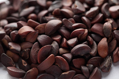 jkfarm Amla, Amloki, Gooseberry Organic Seed(60 per packet)