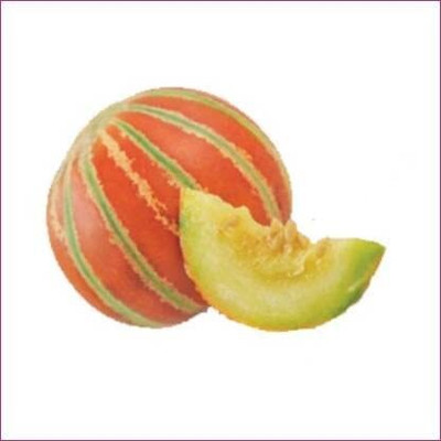 Qualtivate RES-1A F1 MELON GREAT KAJRI/ KHARBUZZA SEEDS Seed(200 per packet)