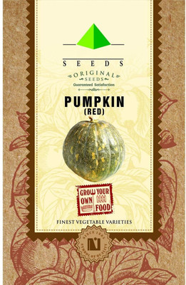 CYBEXIS Pumpkin Seed(400 per packet)