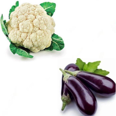 PSAgroinput Phool Gobhi-Brinjal Vegetable Seed(100 g)