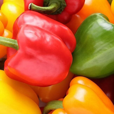 Biosnyg Non GMO Mixed Capsicum Seeds For Kitchen Gardening-(50 Seeds) Seed(50 per packet)
