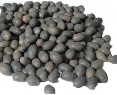 UNIQTRADERS KAMAL GATTA SYMBOL OF GODDESS LAXMI SEED (PACK OF 11 SEED PER PACKET) Seed(11 per packet)