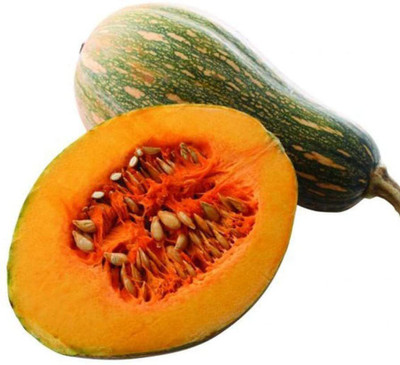 CYBEXIS Hybrid Sweet Pumpkin Seeds400 Seeds Seed(400 per packet)