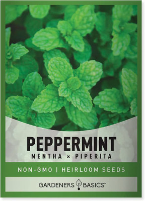 VibeX TLX-41 - Peppermint for Planting - (150 Seeds) Seed(150 per packet)